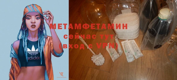 прущие грибы Волосово
