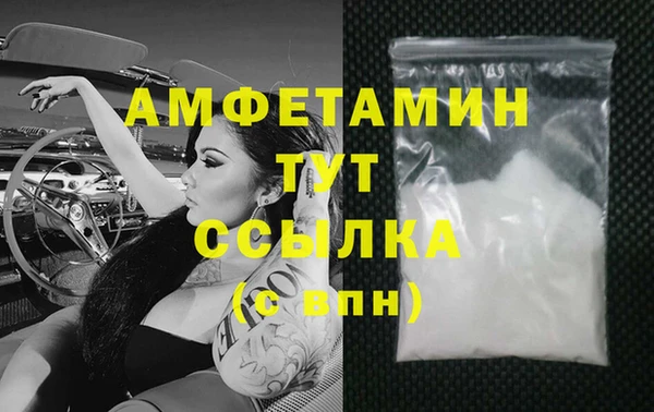 прущие грибы Волосово