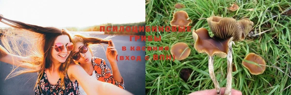 молекула духа Верхнеуральск