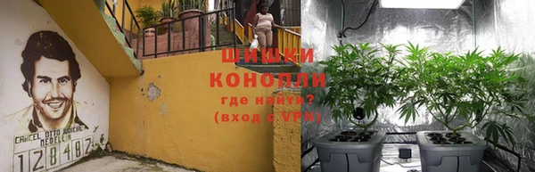 2c-b Верхний Тагил