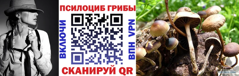 что такое наркотик  Гай  Псилоцибиновые грибы мухоморы 
