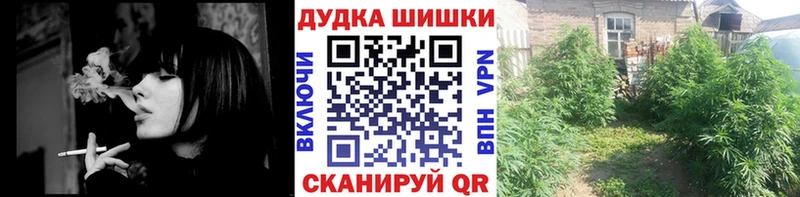 ссылка на мегу как зайти  Гай  Бошки марихуана семена 